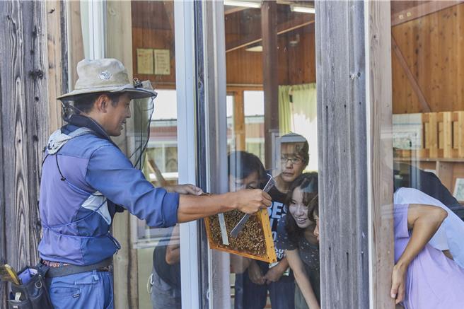 慢活千叶好感生活之旅，体验当地养蜂活动。（良品计画提供) 