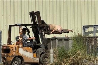 新竹肉品市場飄惡臭 路人經過就乾嘔 環保局遭爆欺上瞞下