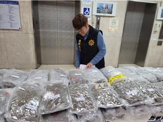 台美首度聯手！富二代明仁會毒梟郵包藏51公斤大麻從美寄台遭逮