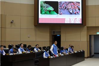 綠鬣蜥入侵苗栗 農業處長：搭菜車偷渡北上