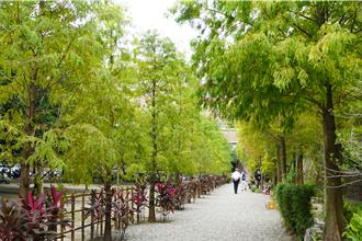 大葉大學打造「大自然綠教室」！課本植物一次看個夠