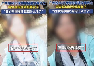 路邊放毒導致廣州貓狗大量死亡 投毒女遭逮辯「吵到我睡覺了」