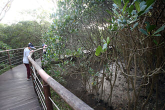 科學家新視野－「自然」是門好生意？