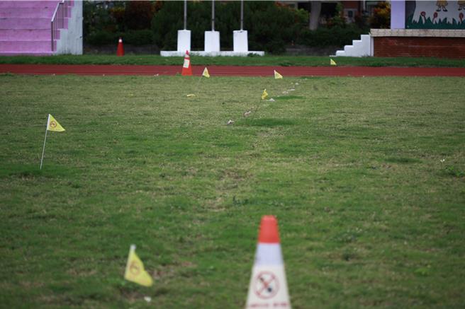 苗栗县头份市永贞国小操场近日遭红火蚁入侵，原本发现8处蚁丘，近期已扩散至12处。（吕丽甄摄）