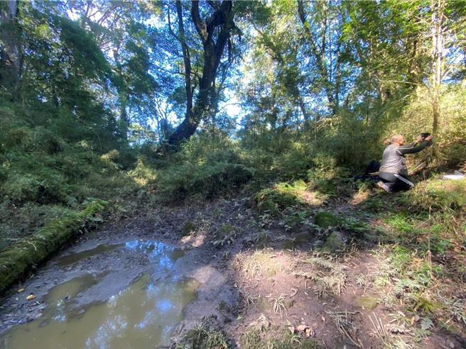 拍摄到台湾黑熊的特富野部落猎场地势平坦且终年有水，植被丰富多样，是水鹿、山猪等野生动物常出没的地方。（林业署嘉义分署提供／吕妍庭嘉义传真）