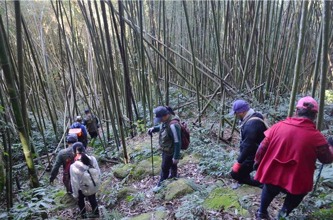 嘉义县邹族猎人协会进行猎场踏查，山径农路亦为野生动物常利用路径。（林业署嘉义分署提供／吕妍庭嘉义传真）