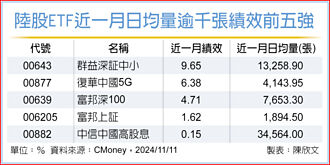 陸股ETF 中小型表現最佳