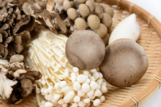 吃菇緩失智 醫揭6種菇改善認知障礙