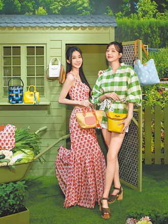 郭雪芙秀美腿 陈华露蛮腰