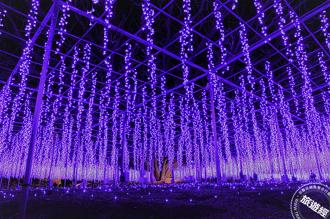 日本栃木之「冬季戀歌」旅遊 燈海、溫泉、滑雪、採果樂一把抓