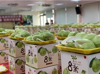 中部芭樂評鑑彰化登場 社頭鄉勇奪前3名