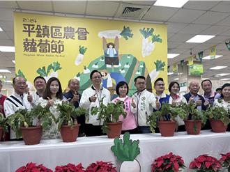 桃園平鎮首屆蘿蔔節24日登場 展多元料理 發揚客家美食