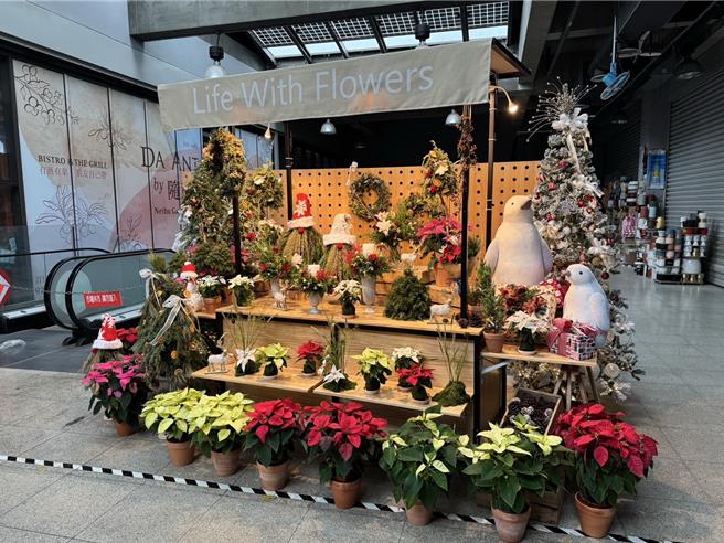 台北花市在花市A馆2楼展出「2014年高品质圣诞红盆花评鑑会」得奖花卉，让业者和消费者能欣赏和了解高品质的圣诞红。（台北花市提供）