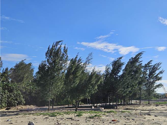 车城水岸营造计画在维持落山风防风林生态前提下，设置滨海廊道及椰林休憩区。（罗琦文摄）