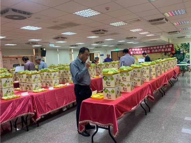 中部地區番石榴（芭樂）評鑑今（22）日在社頭鄉農會登場，鄉農會邀請10位專業評審老師，針對99組參賽芭樂的外觀、甜度、口感等進行評鑑。（葉靜美攝）