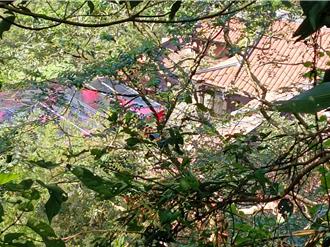 薄瓜瓜婚宴戒備森嚴  外籍賓客多  媒體大陣仗守候驚動警方