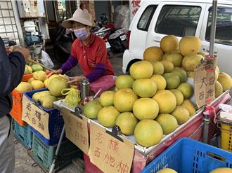 麻豆一晚不到6小時12震 代天府與學者這麼說