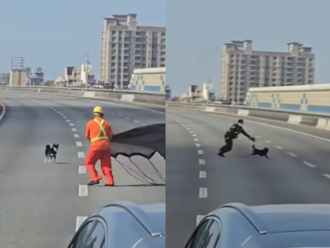 调皮黑柴大闹国道2号！警察封路追狗跑 网笑：柴不理你