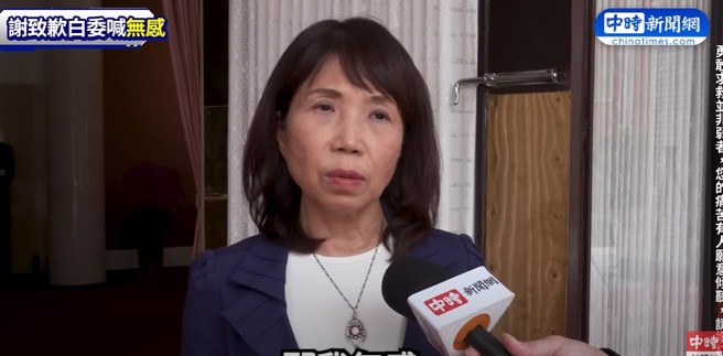 民眾黨立委陳昭姿。（取自本網影片）