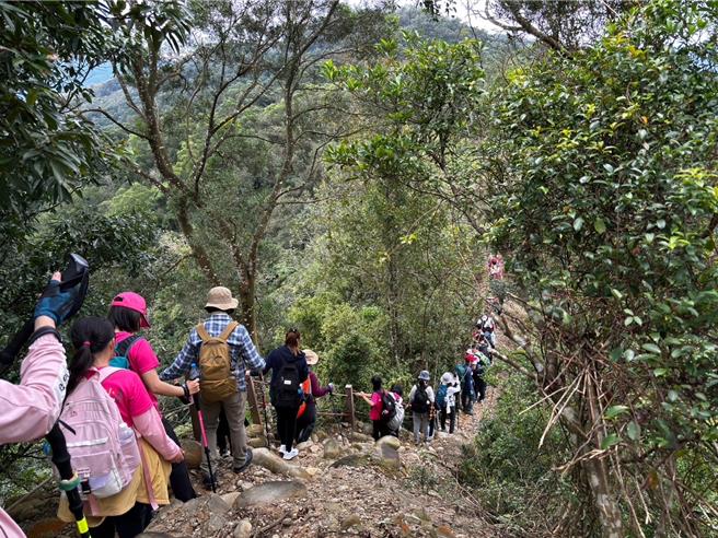 彰化县二林镇香田国民小学17位四年级同学挑战三员纵走北段。（校方提供／李京升彰化传真）