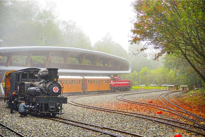 搭「枫光旖旎」蒸汽桧木车厢列车赏枫，更有意境。（阿里山宾馆提供／廖素慧嘉县传真）