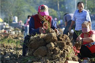 頭份市客家情土窯夯20周年 千人齊聚焢窯烤地瓜