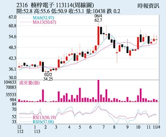 楠梓電 業外獲利大補