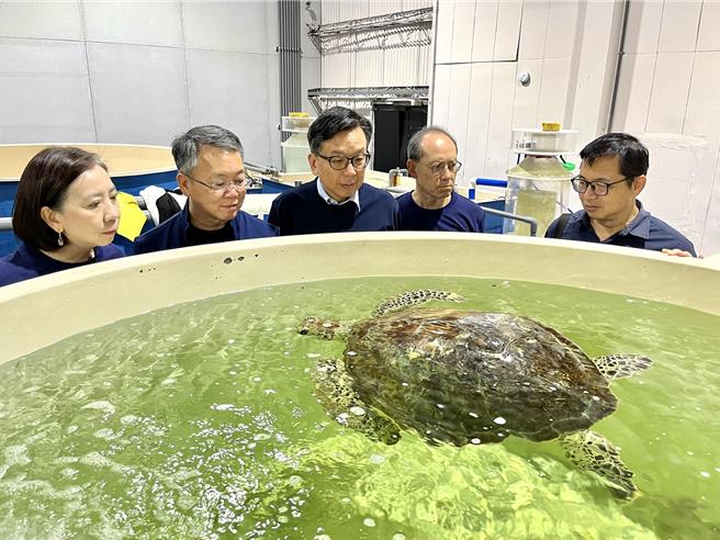 中信金控企業永續委員會召集人劉長春（右二）與獨立董事楊聲勇（中）、許文彥（左二），以及總經理高麗雪（左一）、蘭陽博物館館長陳碧琳（右一）學習海龜救援知識。（中信金控提供）