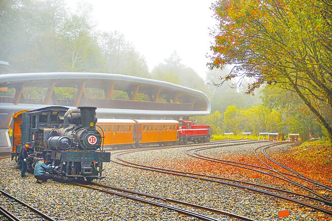 今年暖冬，12月好赏枫，观光业者推出搭「枫光旖旎」蒸汽桧木车厢列车，赏景更有意境。	（阿里山宾馆提供／廖素慧嘉县传真）