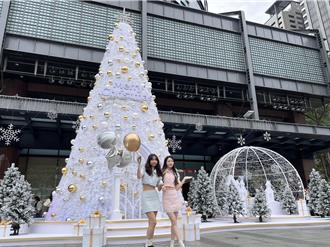台中白色耶诞树登场 不到1个月「白转灰」 网笑：最强空污指标