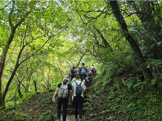 微笑山線Party Day 12／1登場 新北美術館邀您體驗山林魅力