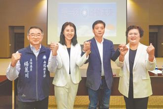 許淑華出手整合草屯鎮長補選 港媒曝2大原因