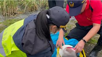 宜蘭72歲老婦失蹤一整晚 消防局今茭白筍田裡尋獲