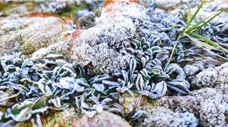 冷气团来袭！玉山北峰结霜像洒糖 太阳能板、观测仪披白纱