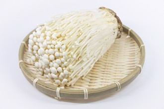  金針菇難消化還有營養嗎？ 農委會揭密