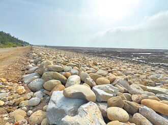 桃逐浪天梯喊卡 改拋石護岸