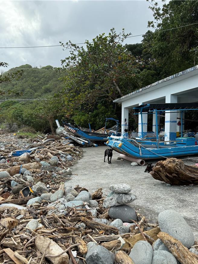 花莲丰滨乡新社小湖船澳曳船道是当地族人重要出海口，遭到康芮颱风侵袭，港口周边布满漂流木， 曳船道遭摧毁。（县议员蔡依静提供／王志伟花莲传真）