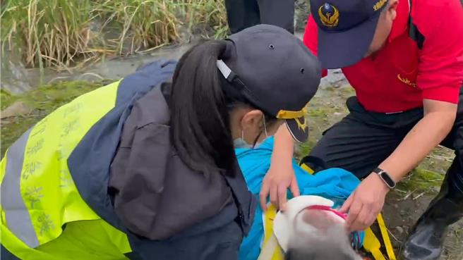 26日上午6时许持续于周边扩大搜索失联者，在闸门处附近茭白笋田里寻获，所幸意识清楚、生命徵象稳定。（宜兰县消防局提供／吴佩蓉宜兰传真）