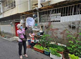 快12月還有登革熱！台南男印尼結婚染疫 成境外第23例