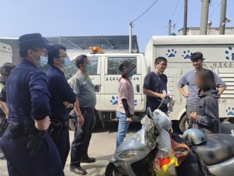 嘉義餵養人激烈阻擋執法又恐嚇 家畜所不忍了送法辦