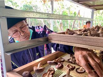 森林生質能循環利用 屏東牡丹林下展地方創生成果