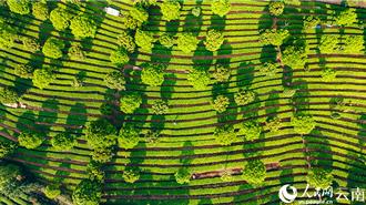 大陸已建立28個跨省流域生態保護補償機制