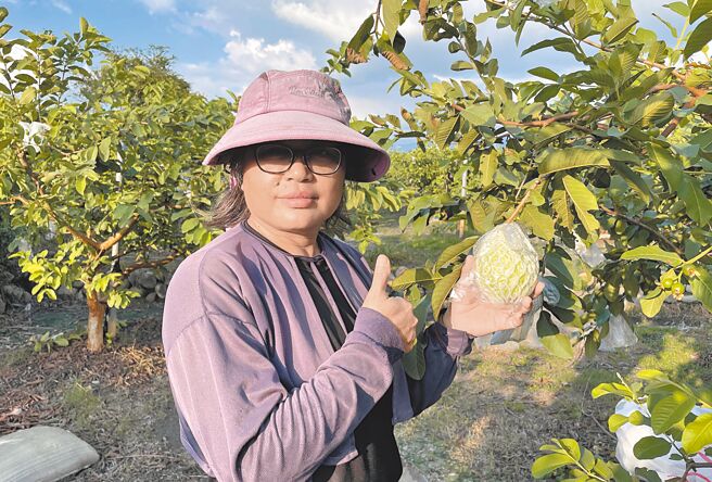 阿丽（化名）透过劳动部协助线上进修，为自家生产的芭乐建立品牌，创造事业第二春。（劳动部劳发署云嘉南分署提供／张毓翎台南传真）