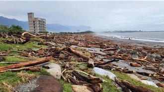 花蓮漂流木開放撿拾 創作競賽即起報名 獲選最高拿50萬元