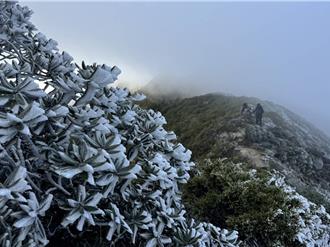 首波冷氣團報到 雪霸山區覆白霜 登山客注意保暖防滑
