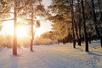 4生肖12月走大運！屬龍工作如神助 一出手就賺