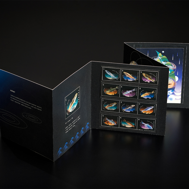 全场大奖Grand Prize「回邮鱼藏」由陈建勋与李政达老师指导。（照片/中国科大提供）