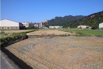 苗栗減少露燃有成！稻草不燒了 變身農田養分
