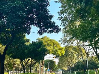 從蔗田到綠洲！南科28年植樹有成 打造宜居環境