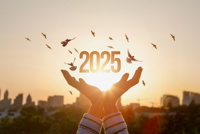 龍、蛇、馬3生肖2025年步入大運軌道，職場更有競爭力。（示意圖：Shutterstock／達志）